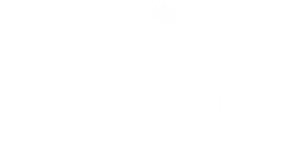 Waterlily Dahlias